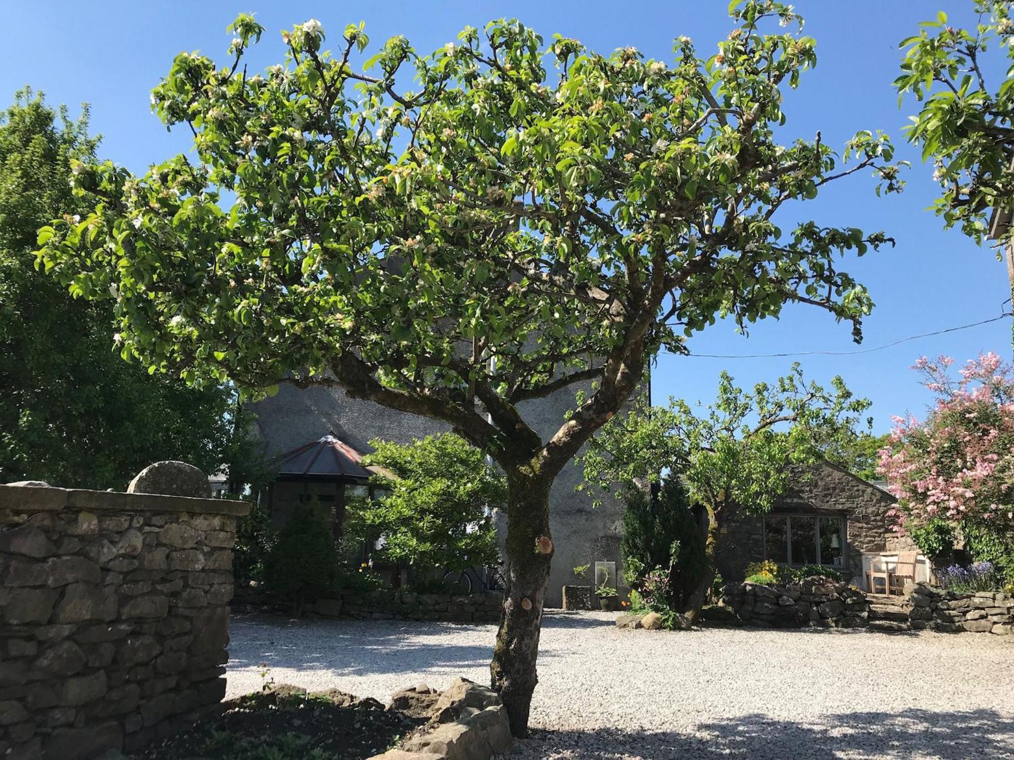 Pear Tree Barn Villa Crooklands ภายนอก รูปภาพ